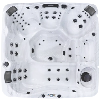 Avalon EC-867L hot tubs for sale in Carson